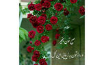 فال و طالع بینی روزانه 7 آذر + فیلم